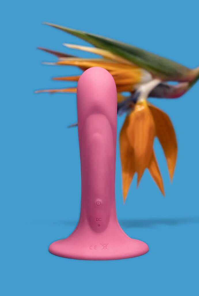 Dildo Vibrador - Dilda dildo vibratório - pantynova | Sex Shop Produtos Eróticos Online